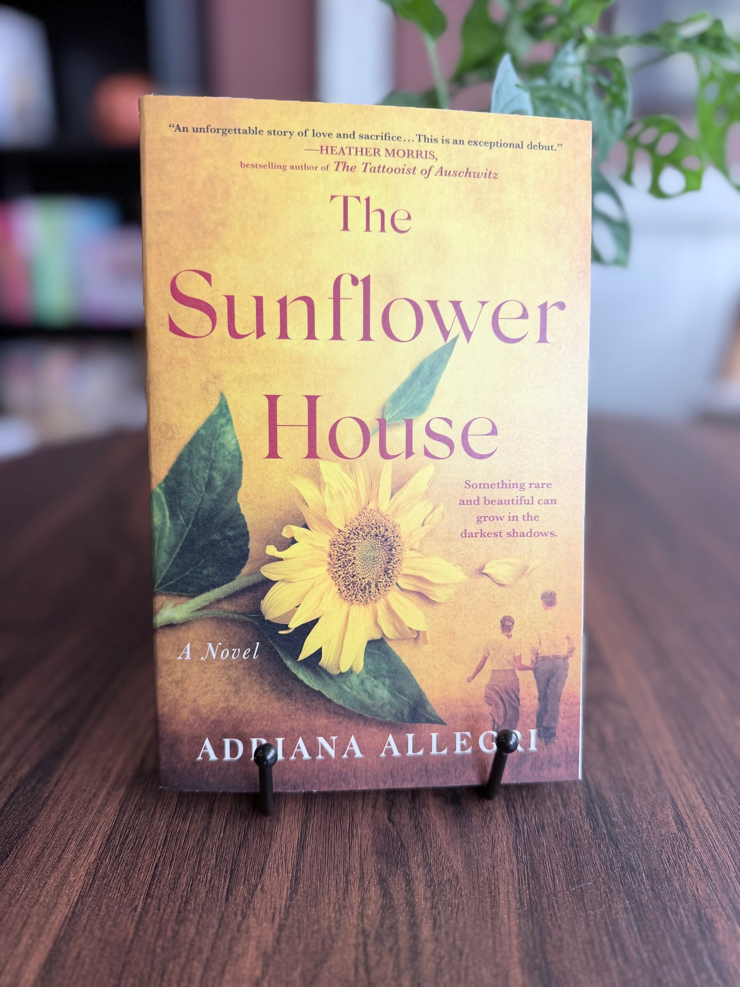 The Sunflower House by Adriana Allegri