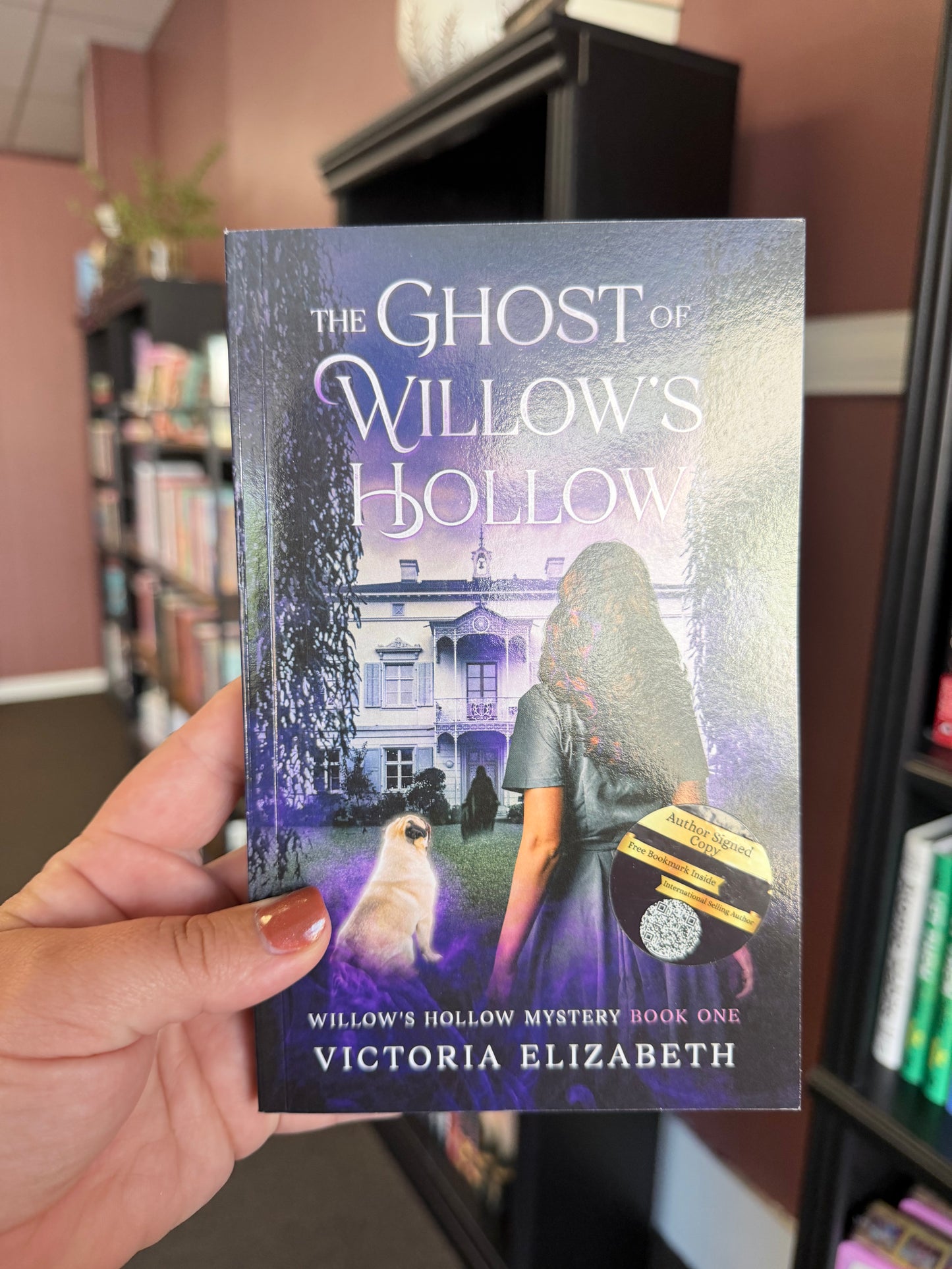 The Ghost of Willow's Hollow by Victoria Elizabeth