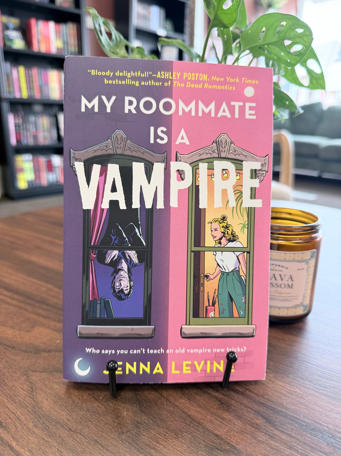 My Roommate is a Vampire by Jenna Levine