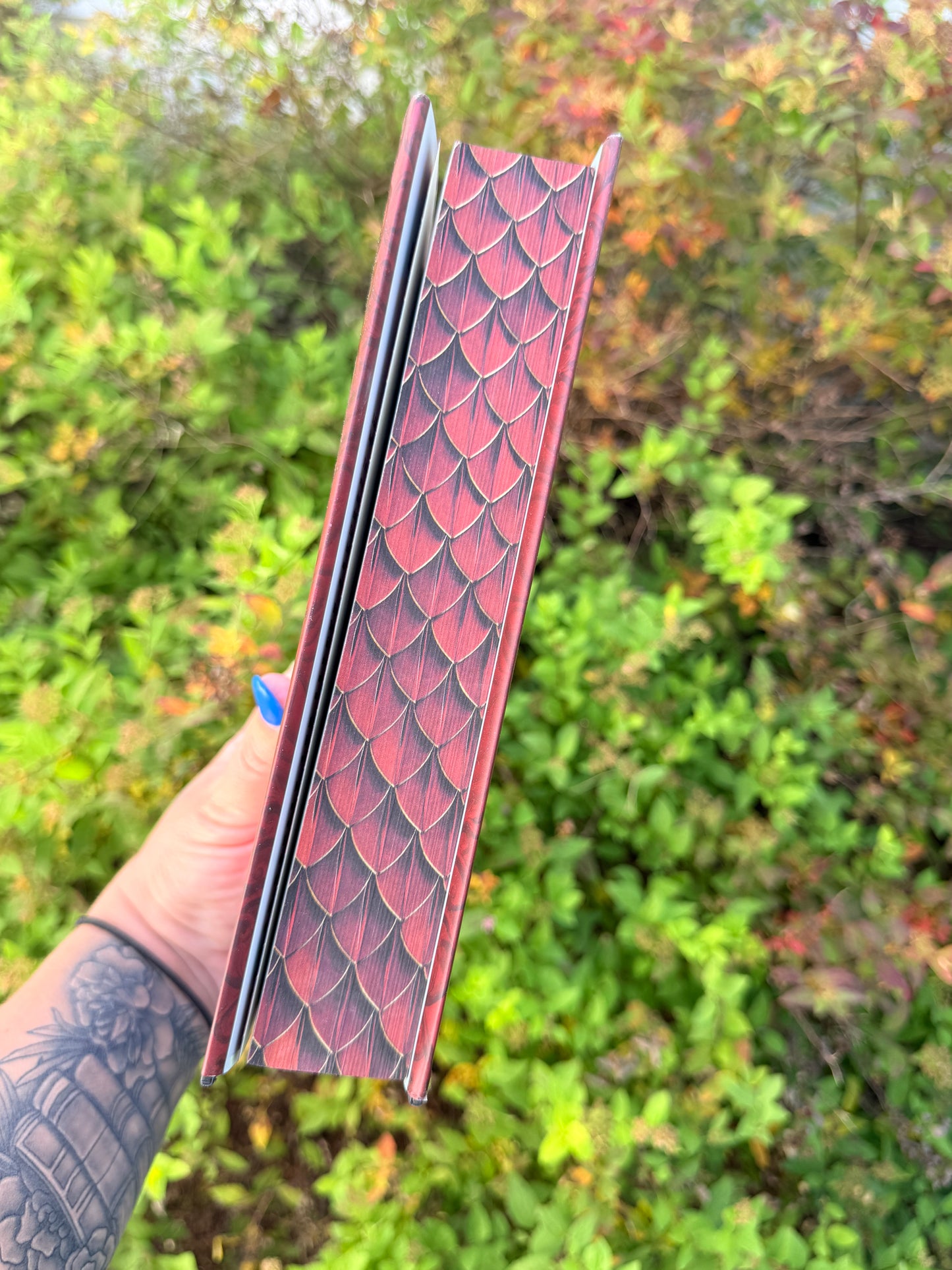 On Wings of Blood by Briar Boleyn