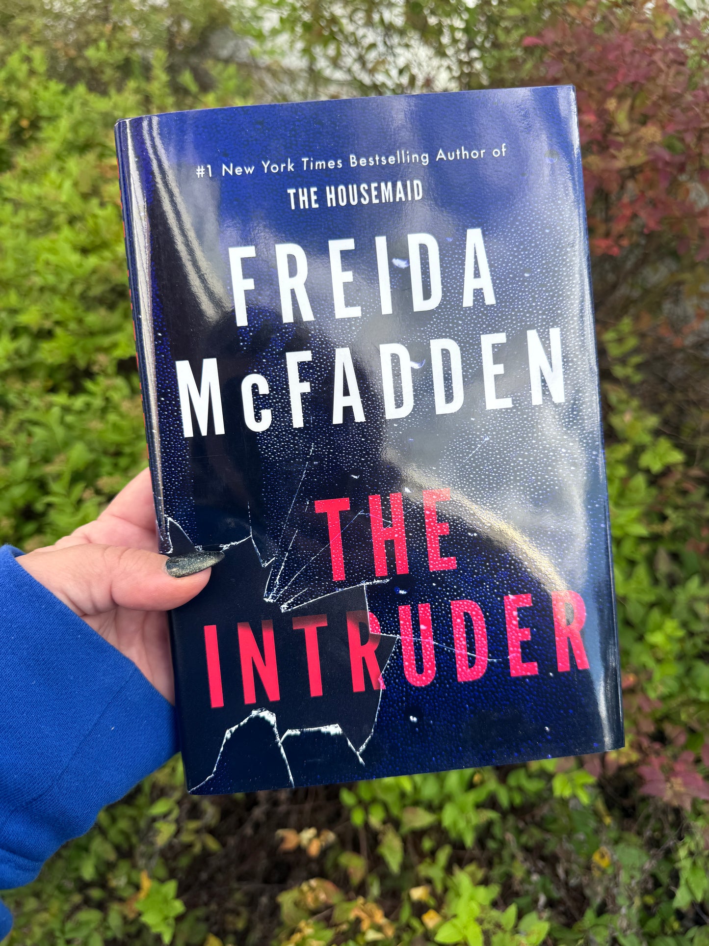 The Intruder by Frieda McFadden