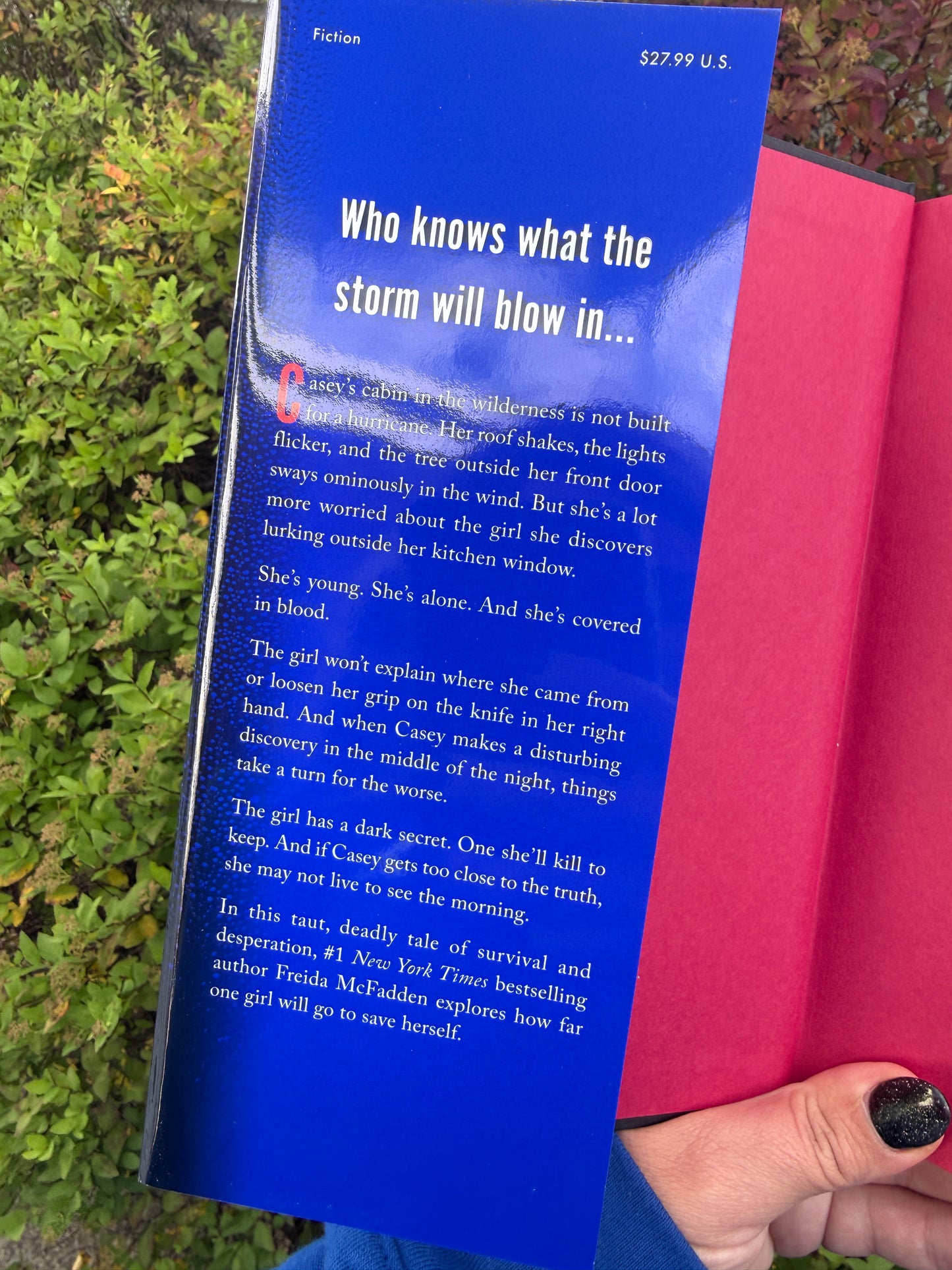 The Intruder by Frieda McFadden