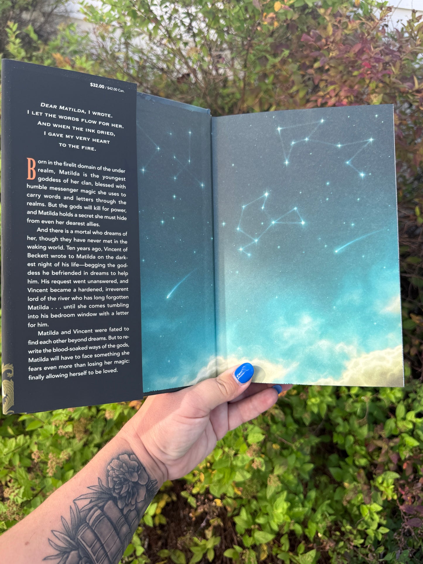 Wild Reverence by Rebecca Ross
