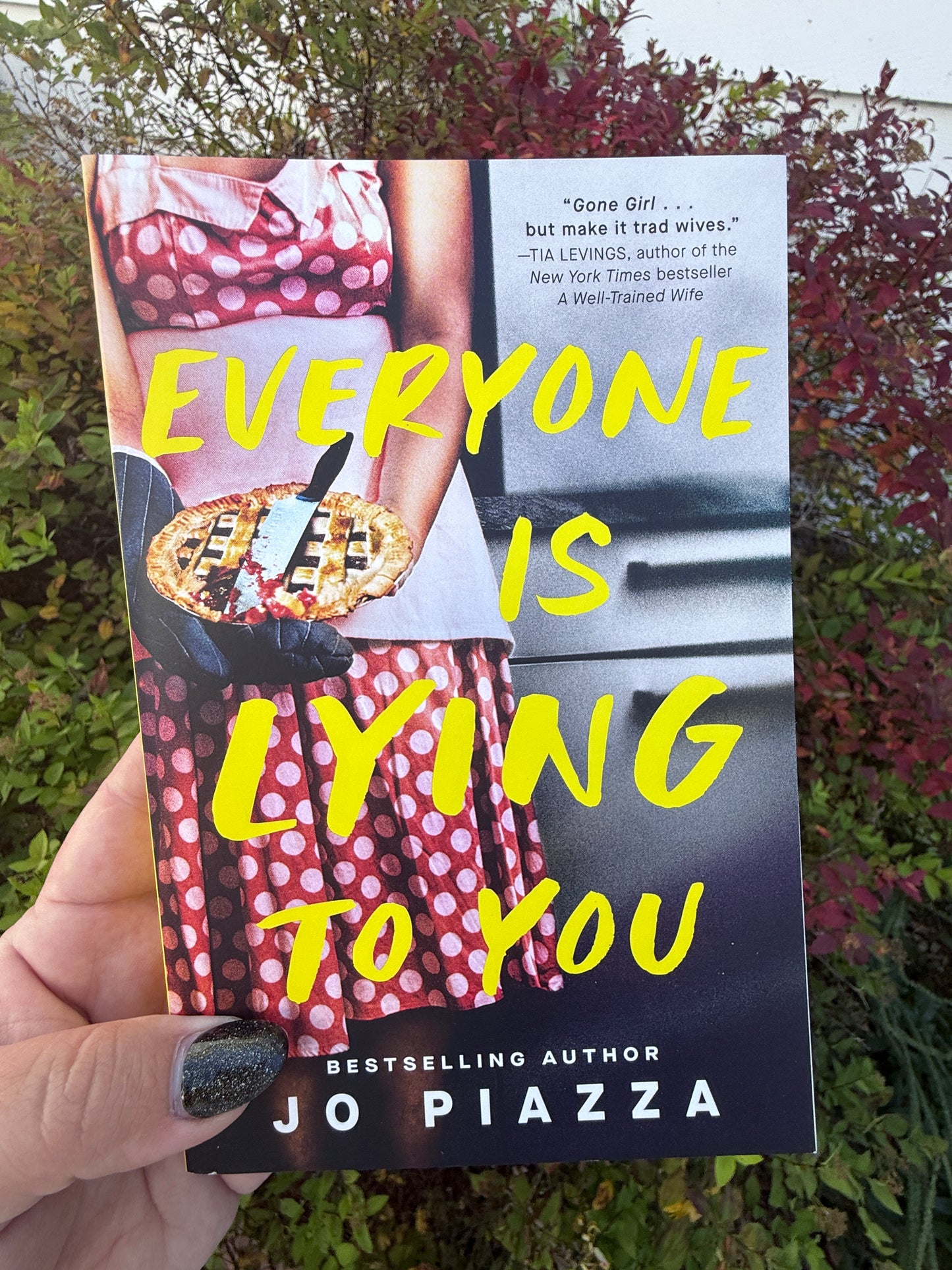 Everyone Is Lying To You by Jo Piazza