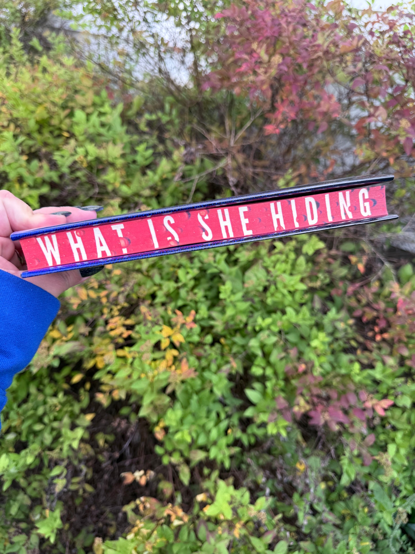 The Intruder by Frieda McFadden