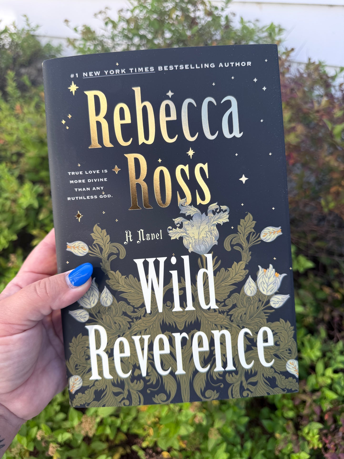 Wild Reverence by Rebecca Ross