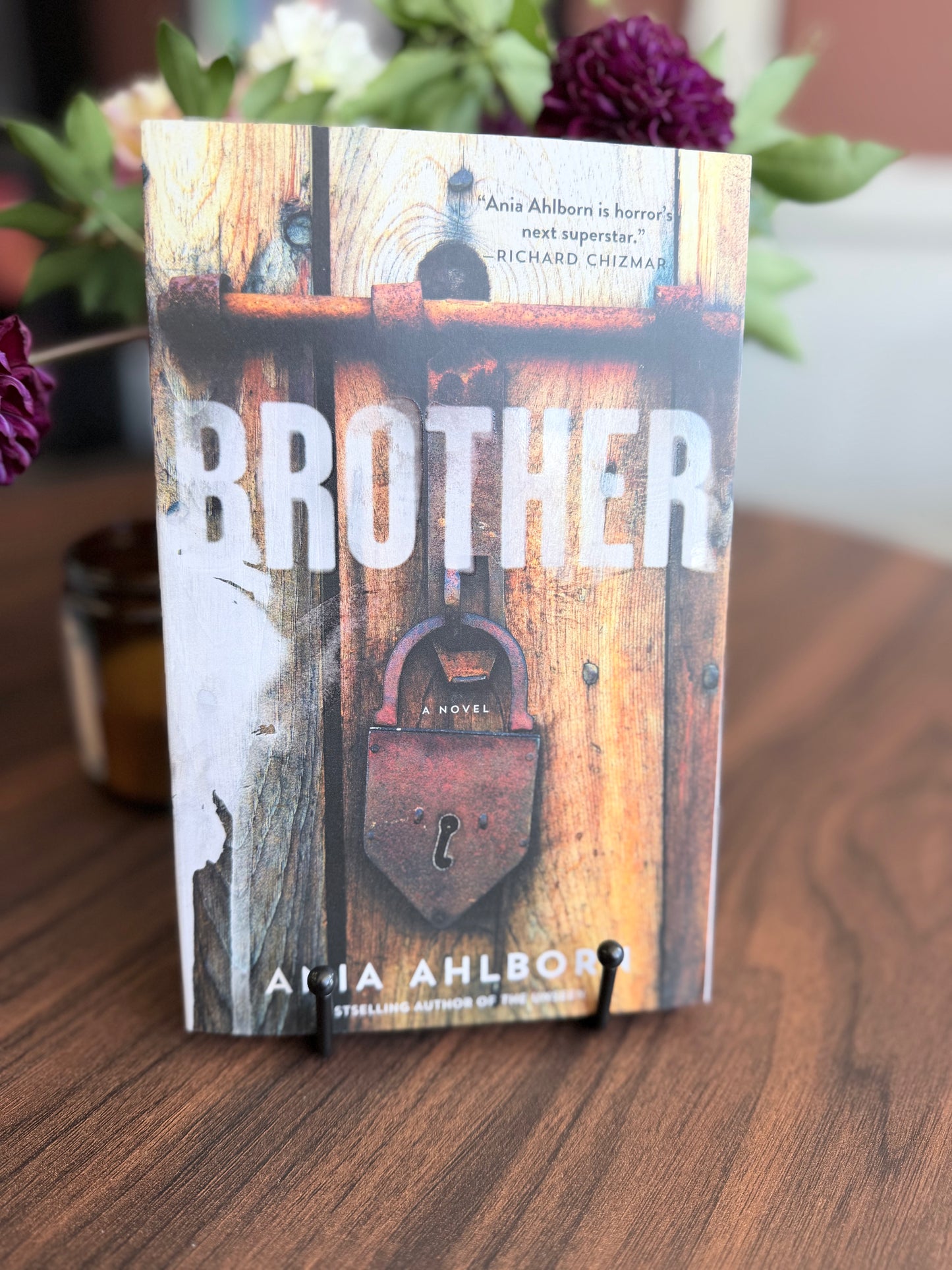 Brother by Ania Ahlborn
