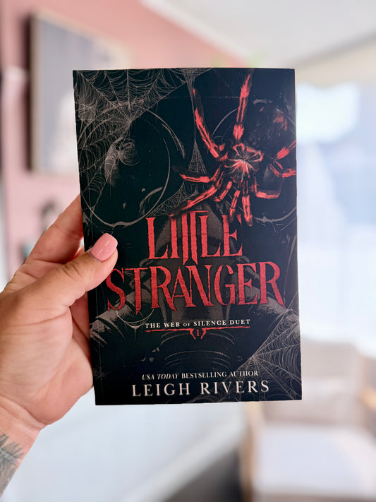 Little Stranger by Leigh Rivers (Book 1)