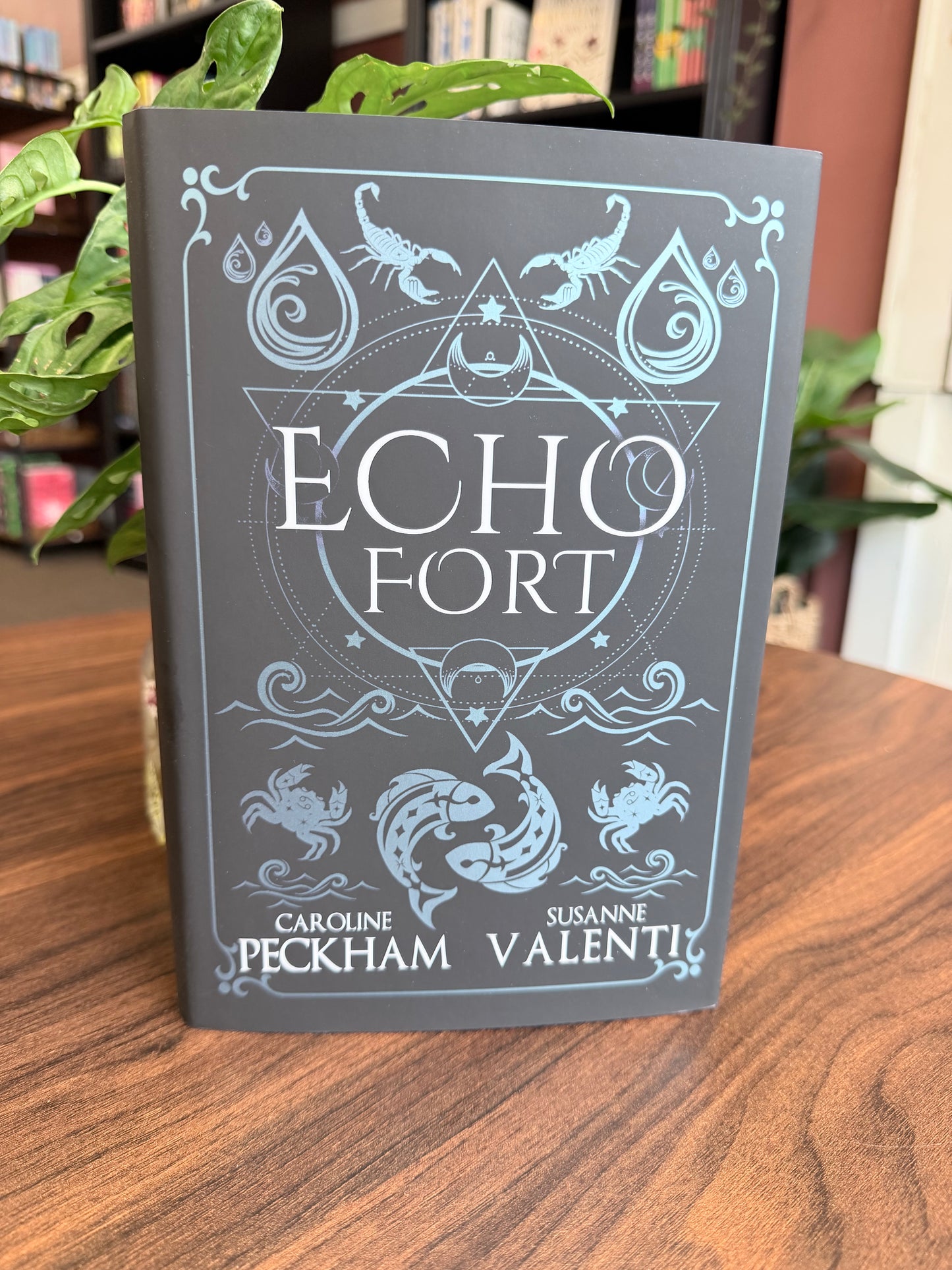 Echo Fort by Caroline Peckham & Susanne Valenti (Book 2 in the Sins of the Zodiac series)