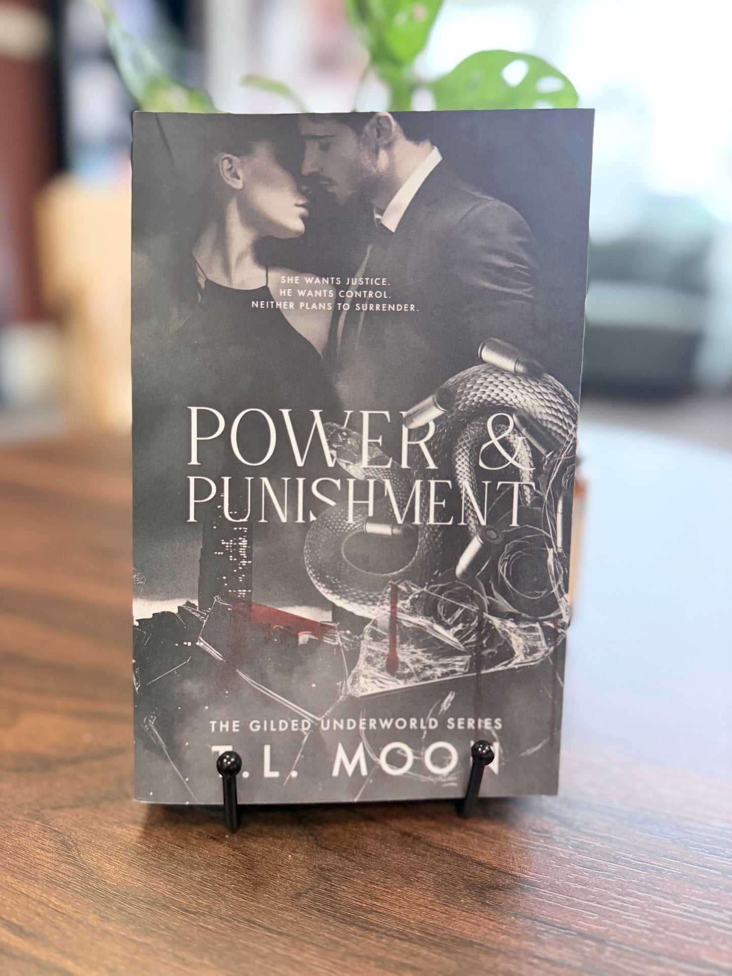 Power & Punishment by T. L. Moon