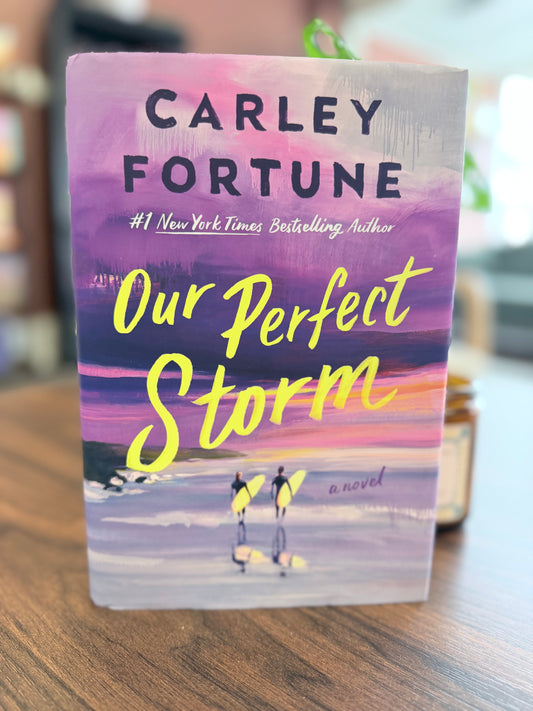 Our Perfect Storm by Carley Fortune